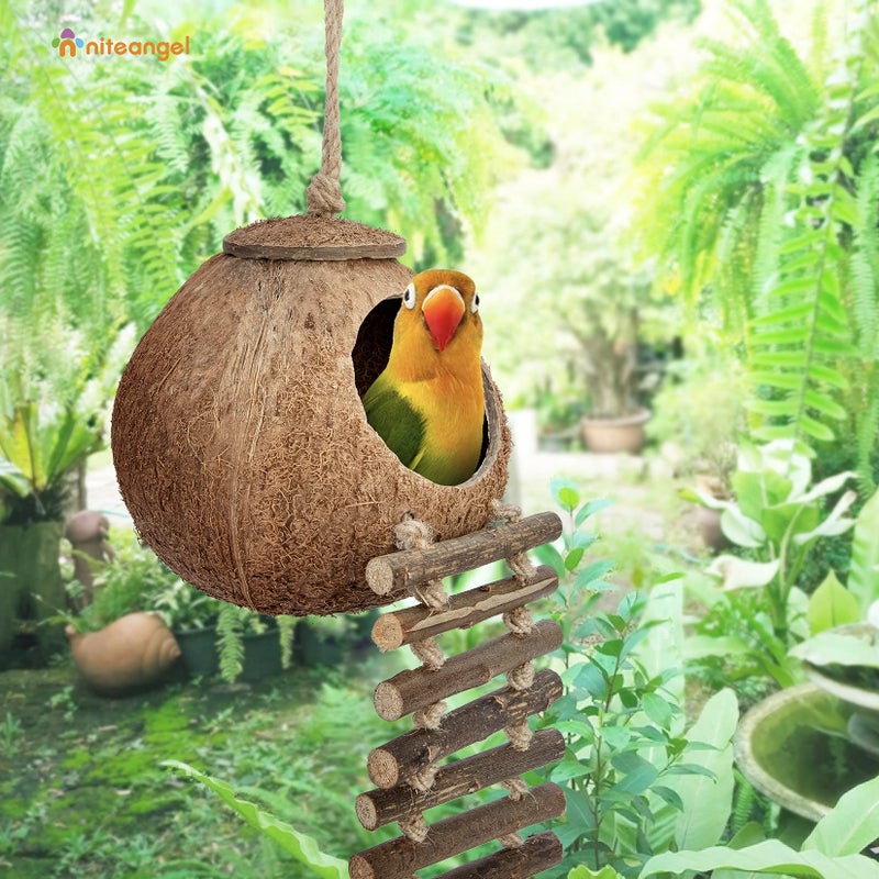 Niteangel Natural Coconut Hideaway with Ladder, Bird and Small Animal Toy (House with Ladder, Natural Surface) - Image 5